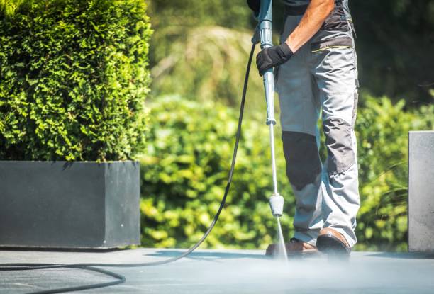 Best Graffiti Removal  in Elk Grove, CA